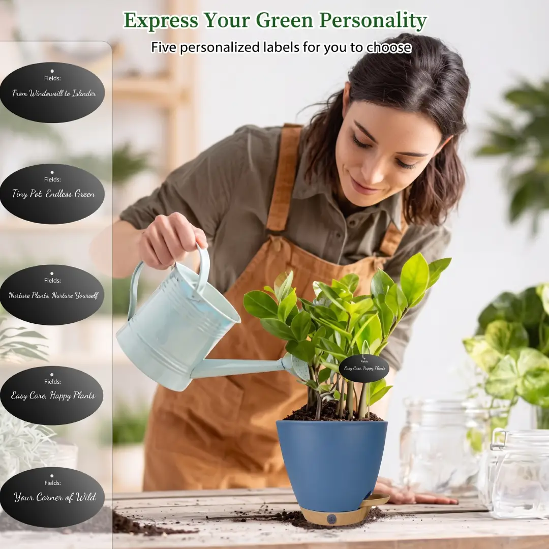 6 Inch Self-Watering Plant Pots with Visual Reservoir 5 Pack image 2