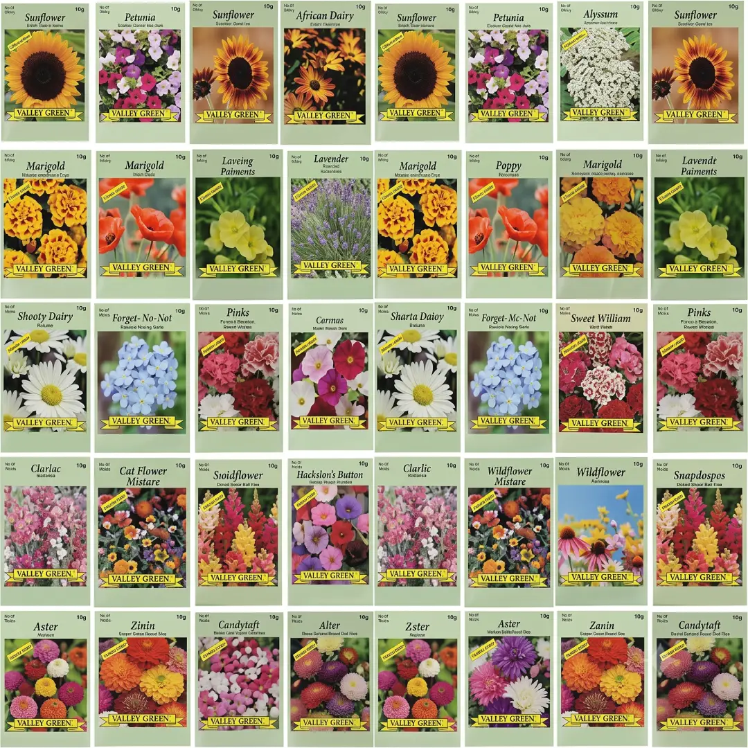 50 Assorted Flower Seeds Non-GMO Pollinator Garden Mix image 1