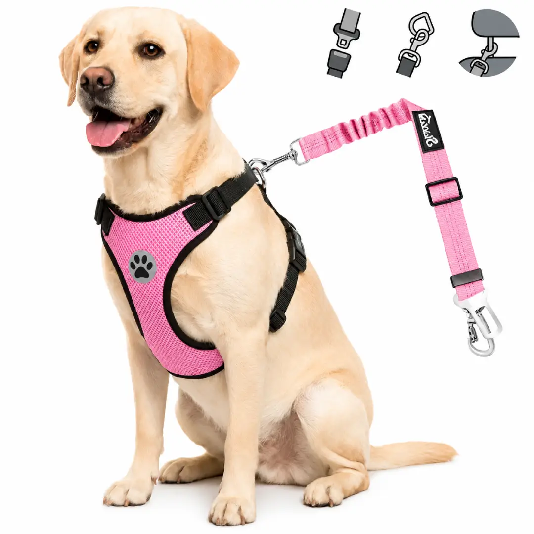 Adjustable Dog Car Safety Harness with Seat Belt Tether – 2-in-1 Vehicle Restraint for Small to Large Dogs image 2