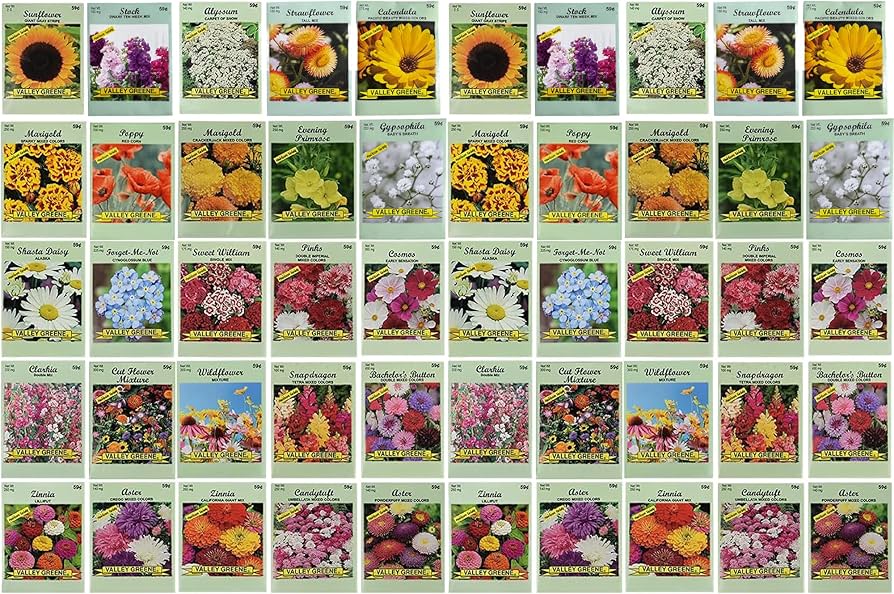 50 Slightly Assorted Flower Seeds! – Great for Bees, Birds, and Butterflies! – Includes 10+ Varieties of USA Grown & Non-GMO Seeds! – May Include Forget-Me-Nots, Marigolds, Wildflowers, and More