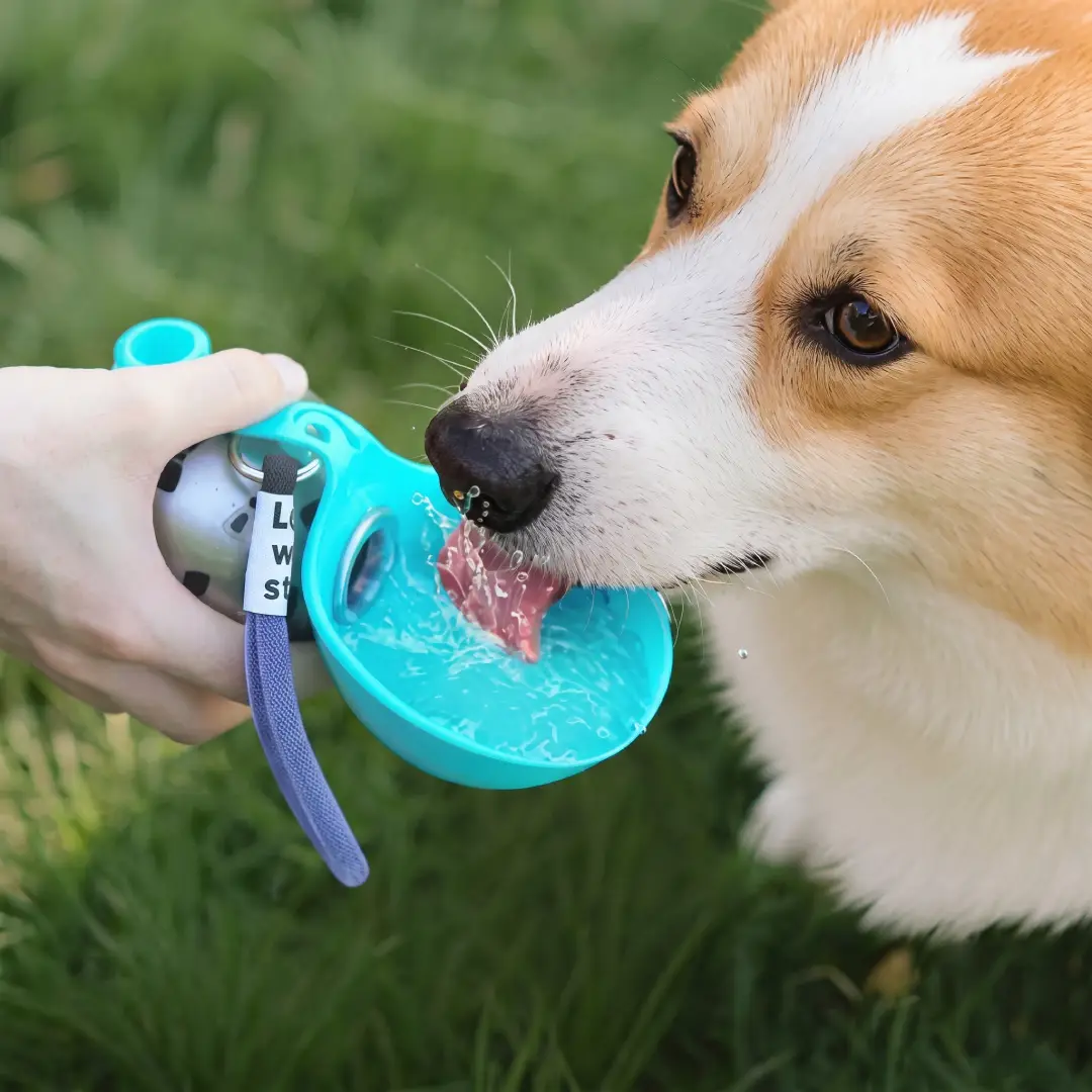 Portable Dog Water Bottle for Small Dogs – 2-in-1 Travel Water Dispenser for Walks, Hiking & Road Trips