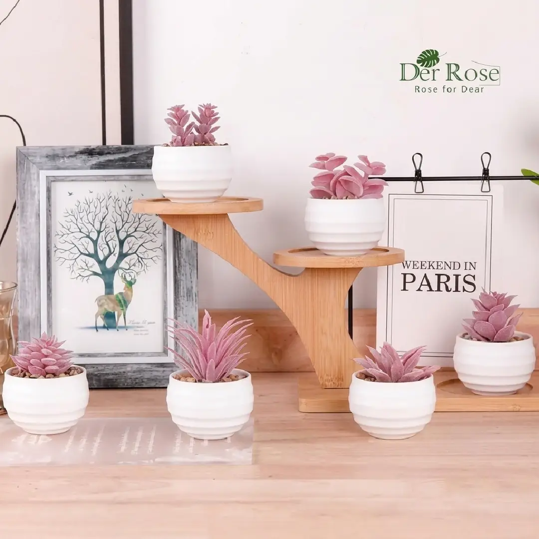 Der Rose Set of 6 Artificial Succulent Plants image 3