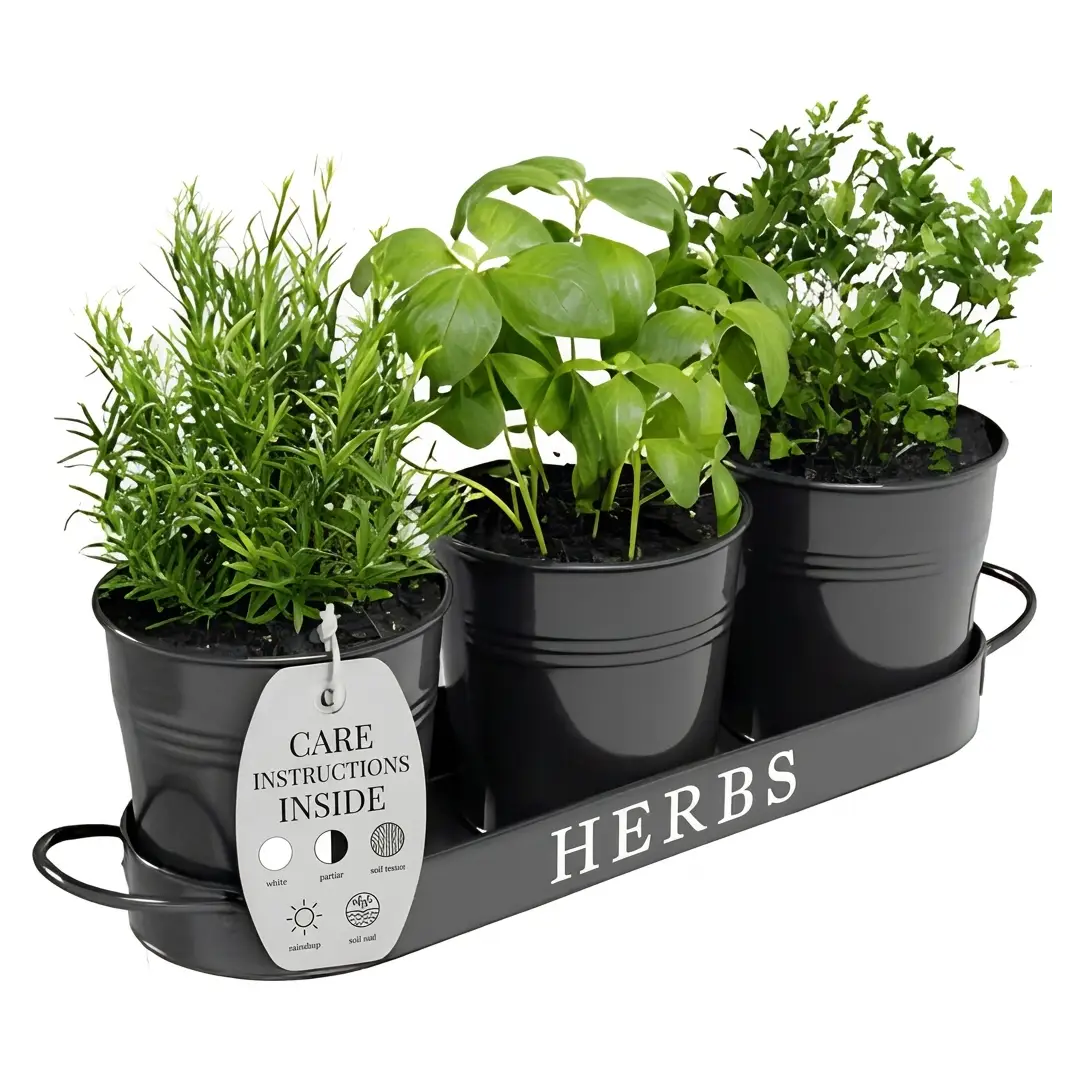 Barnyard Designs Indoor Herb Garden Planter Set with Tray