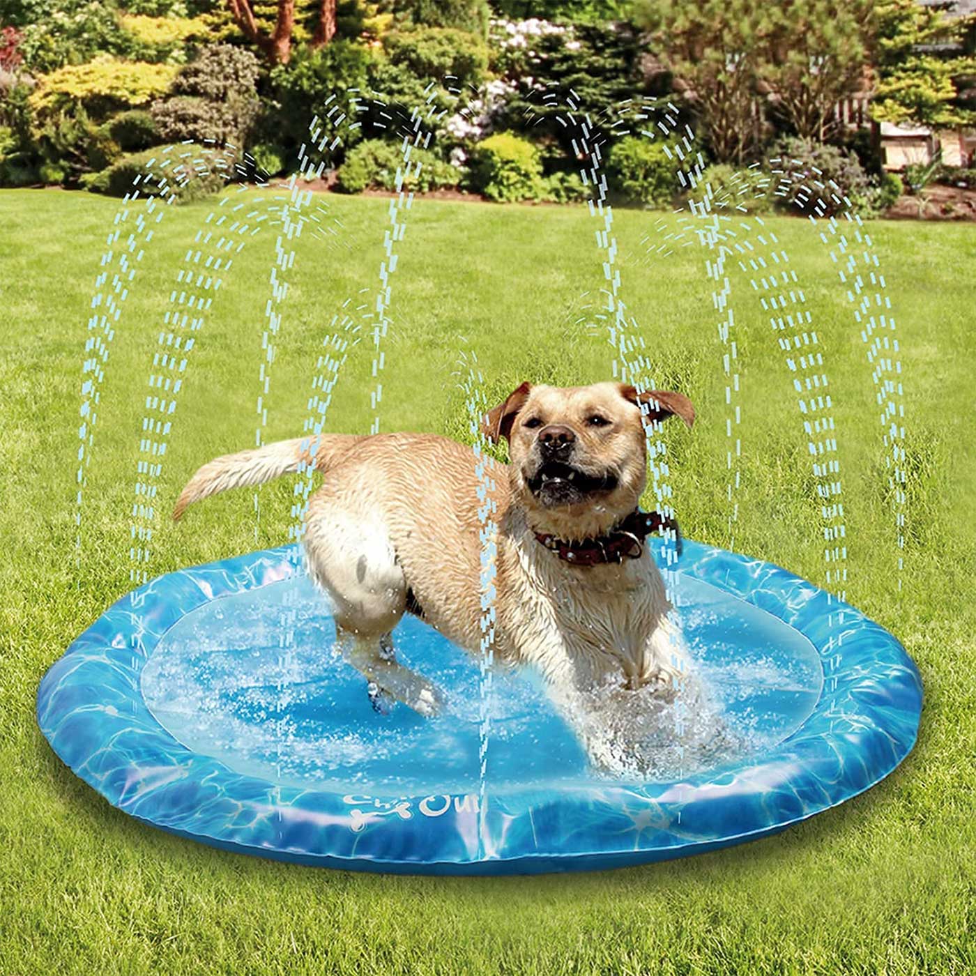 Heavy-duty Outdoor Pet Bath Basin with Water Spray Function - Anti-slip Dog Water Play Cooling, water spraying, and ice cooling