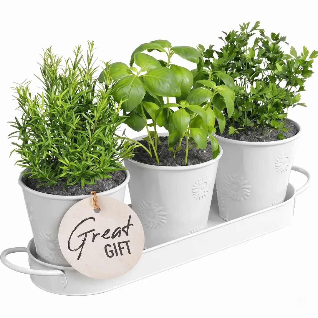 Barnyard Designs Indoor Herb Garden Planter Set with Tray image 3
