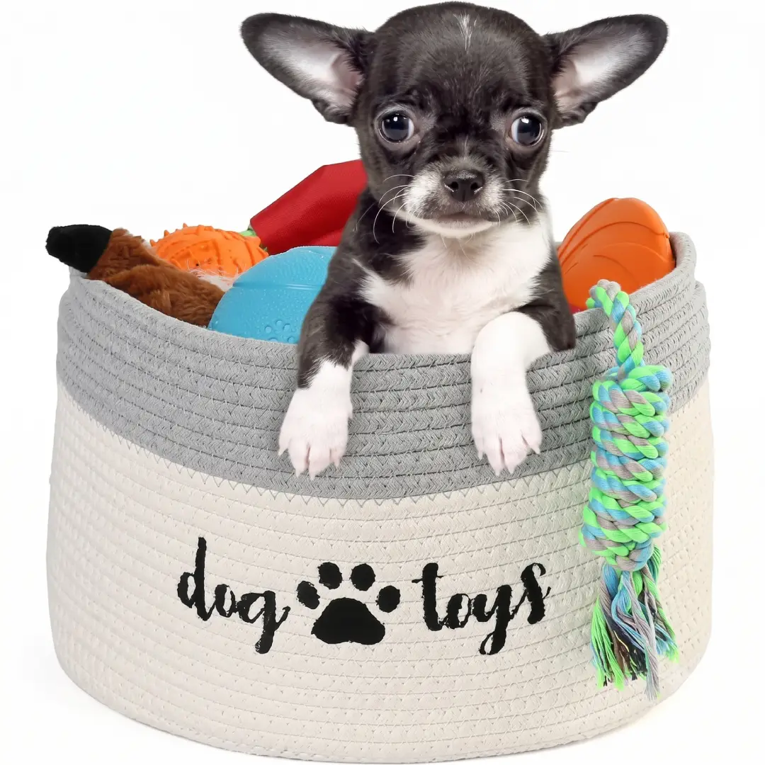 Small Woven Rope Basket with Handles for Pet Toy Storage