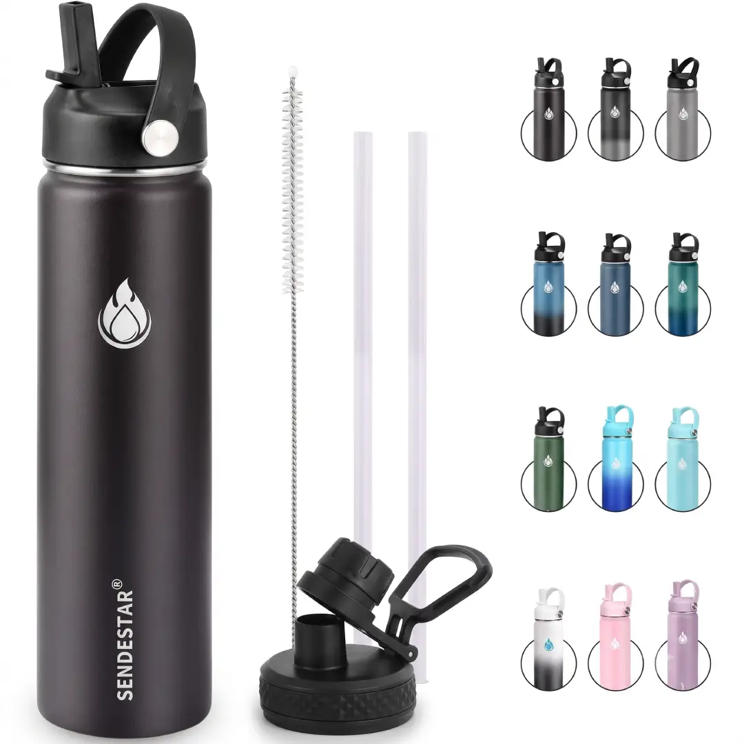 24 oz Insulated Stainless Steel Water Bottle with Straw Spout Lid