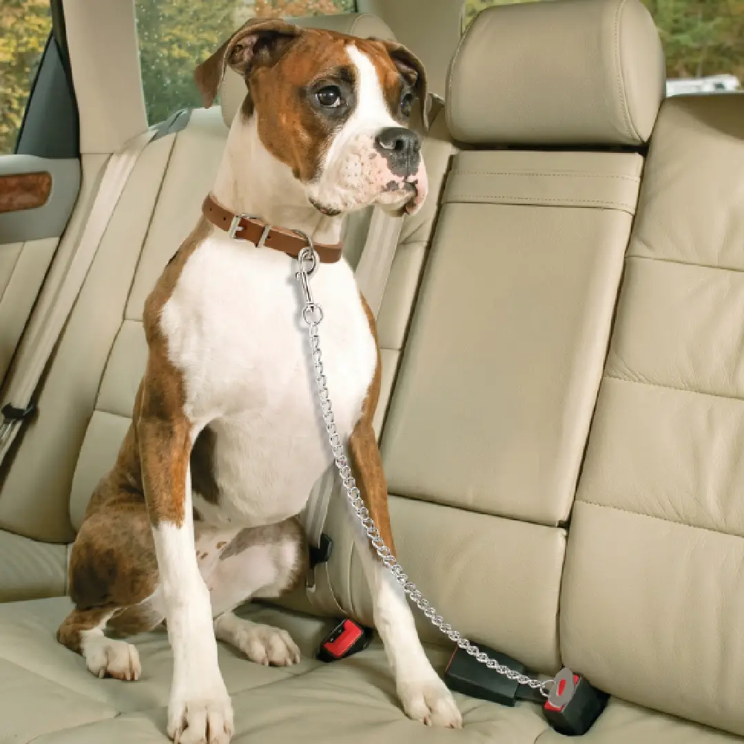 Stainless Steel Dog Car Seat Belt, Chew-Proof Pet Safety Chain Leash for Puppies & Dogs image 2