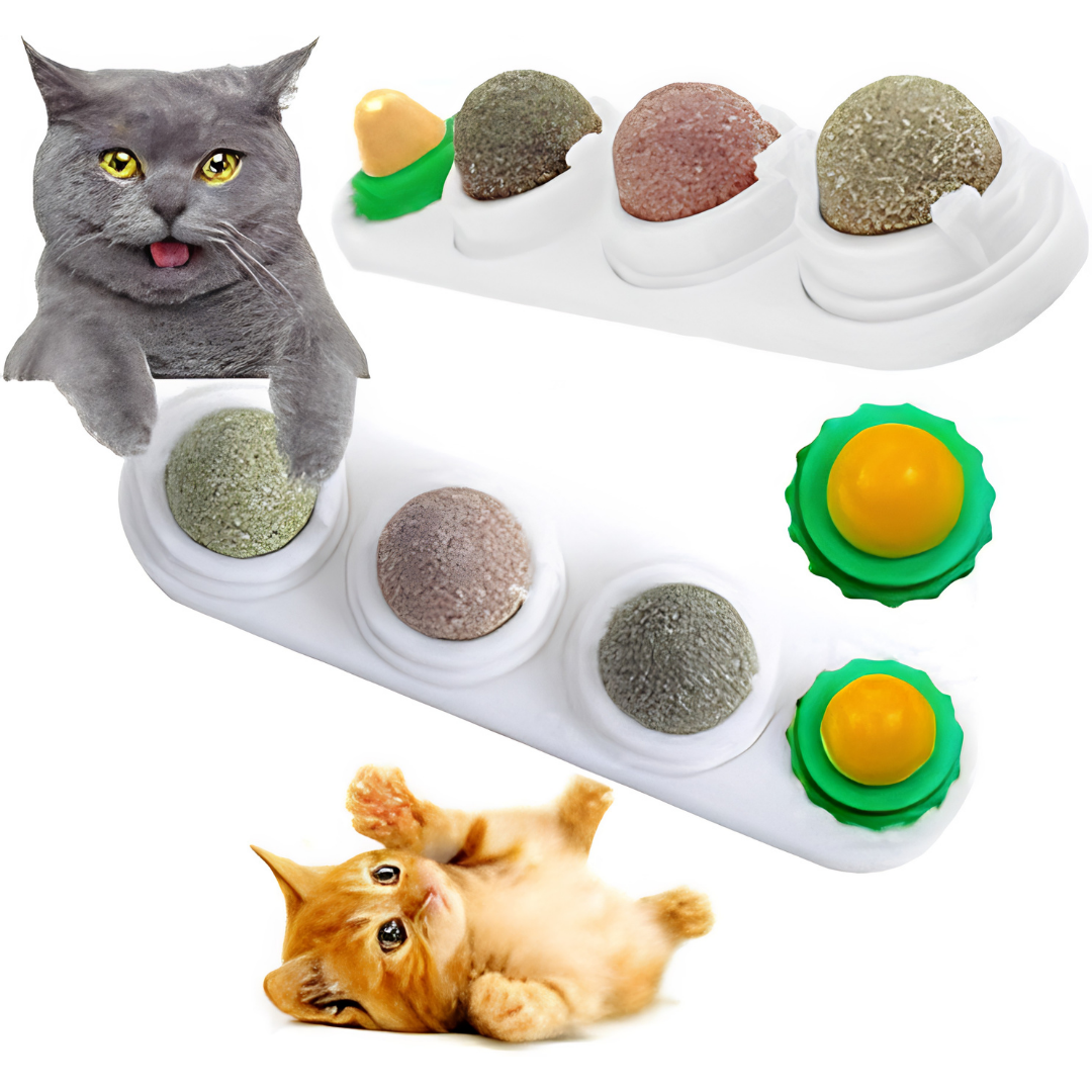 4 in 1 Rotating Catnip Silver Vine Ball Wall Toy for Cats