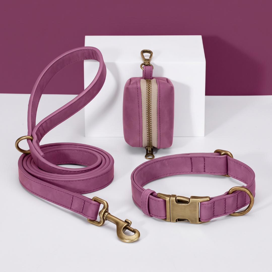 Personalized PU Leather Dog Collar Leash Bag Set image 7