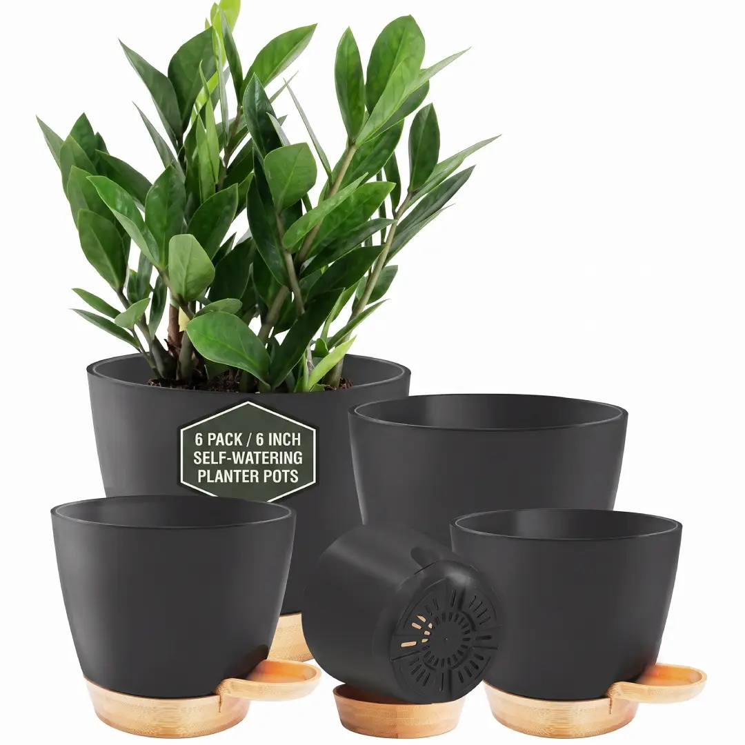 6 Inch Self Watering Pots for Indoor Plants 5 Pack Black image 1