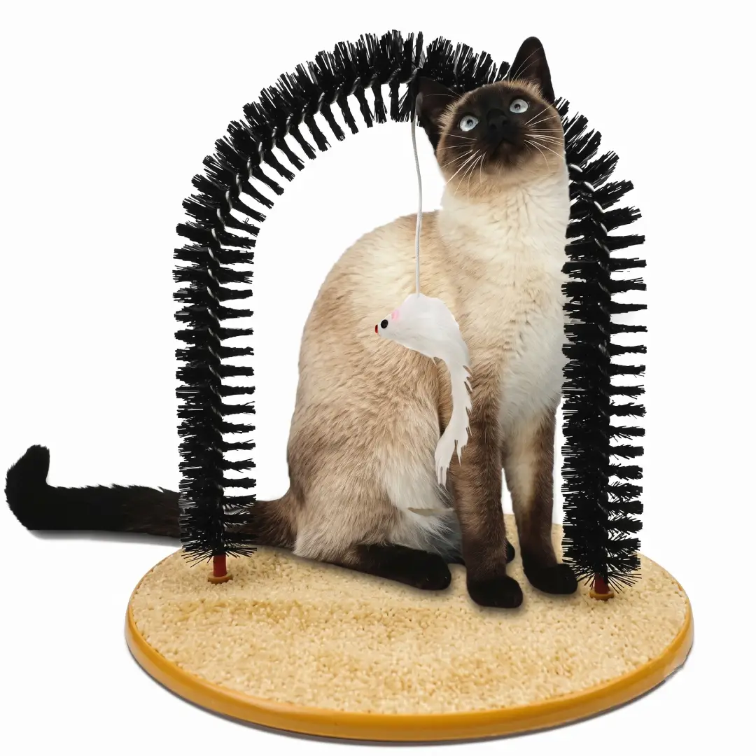 Cat Self Grooming Arch Toy with Massage Brush and Scratch Pad image 3