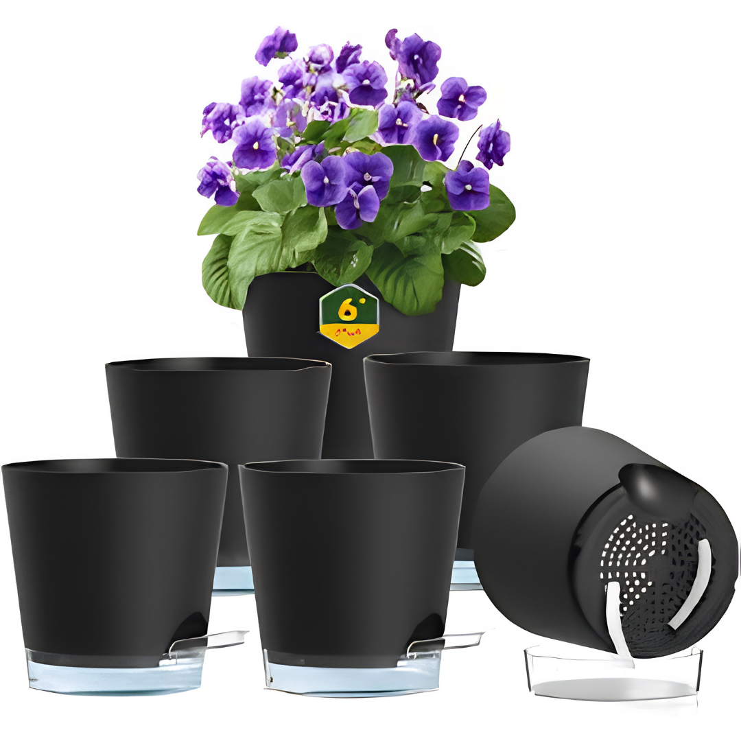 6 Inch Self-Watering Plant Pots with Visual Reservoir 5 Pack