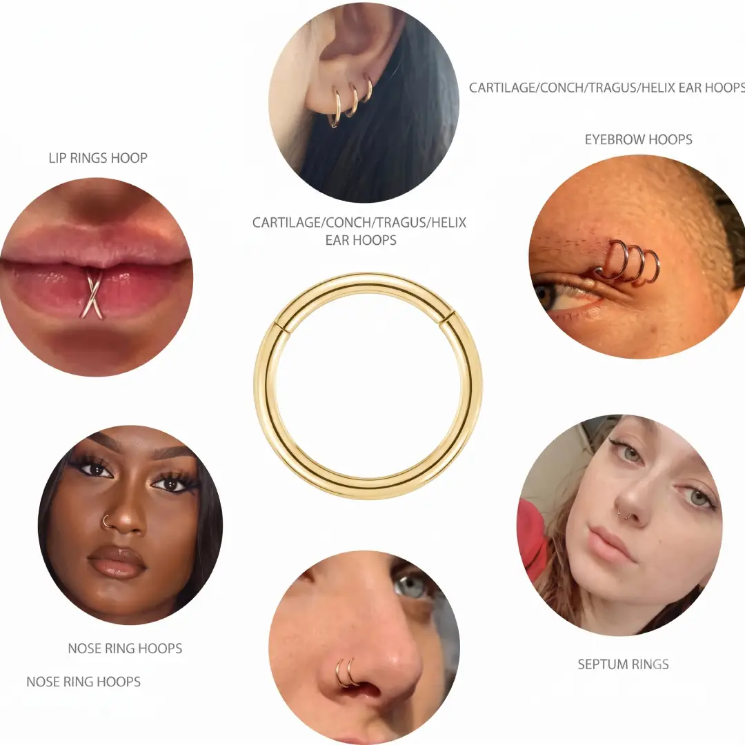 BLISI Grade 23 Titanium Nose Rings Hinged Hoop Set image 3