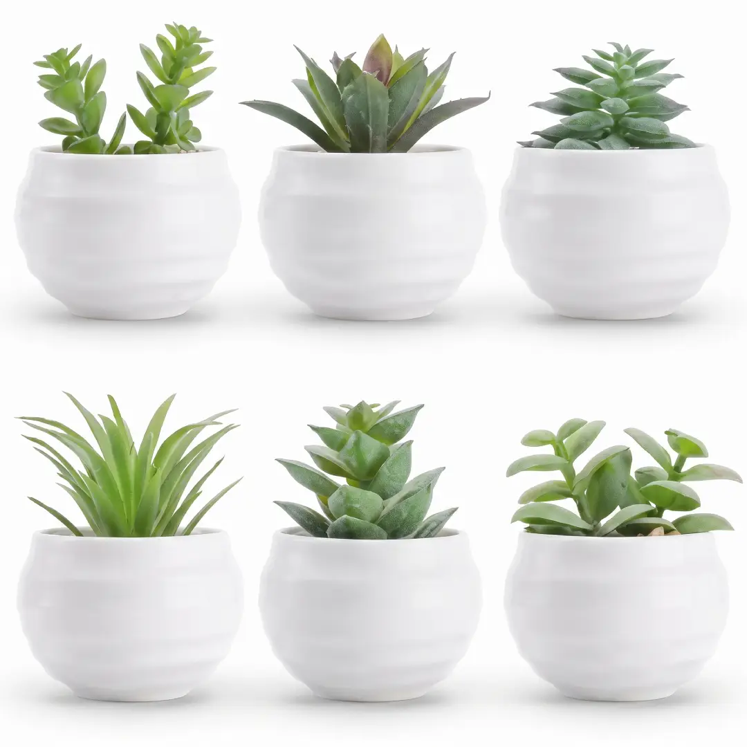 Der Rose Set of 6 Artificial Succulent Plants image 1