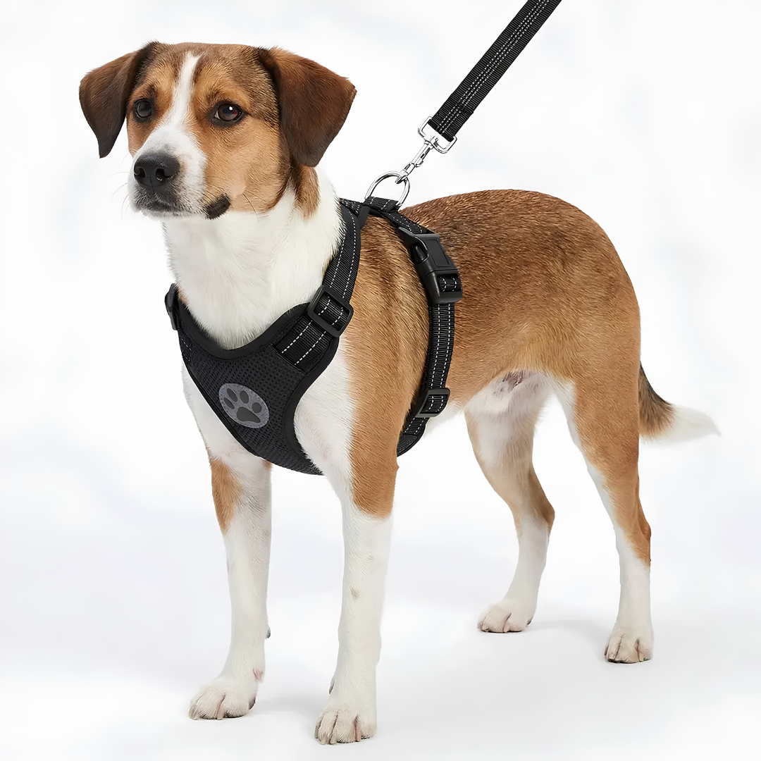 Adjustable Dog Car Safety Harness with Seat Belt Tether image 2