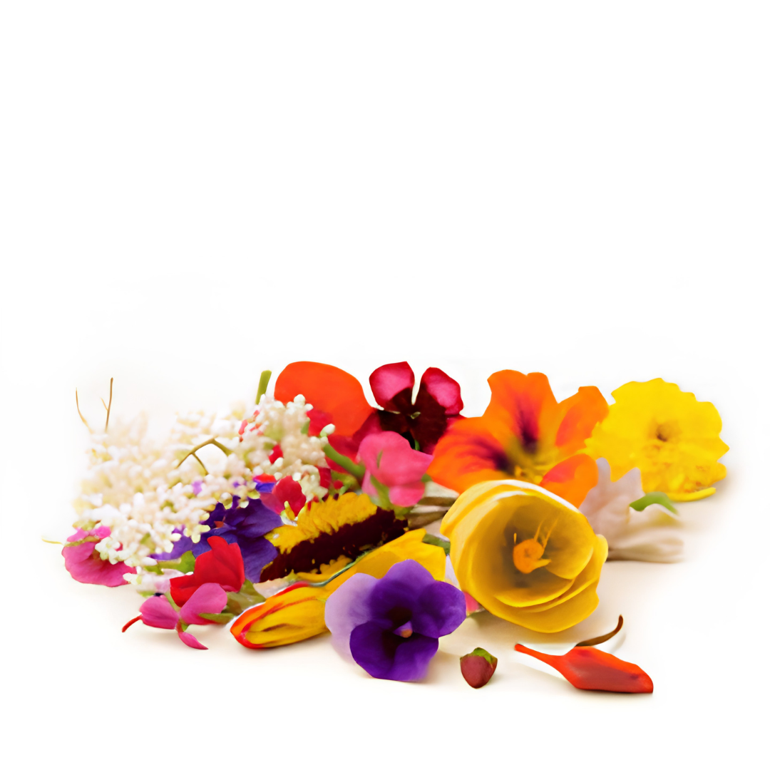 50 Assorted Flower Seeds Non-GMO Pollinator Garden Mix