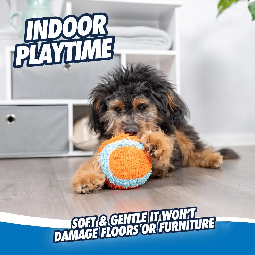 Chuckit Indoor Fetch Ball Dog Toy image 2