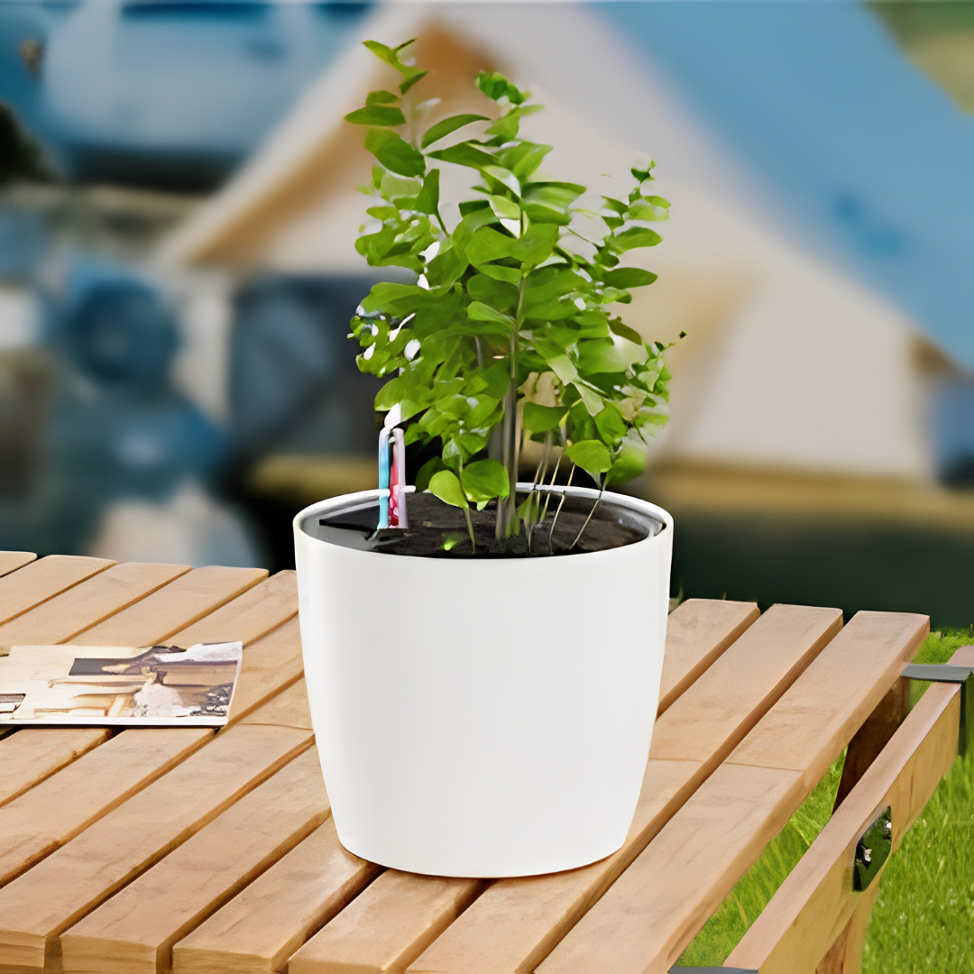 Self Watering Plant Pots with Water Level Indicator image 2
