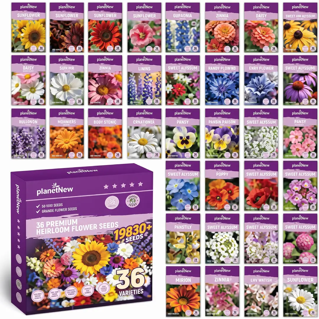 50 Assorted Flower Seeds Non-GMO Pollinator Garden Mix image 2