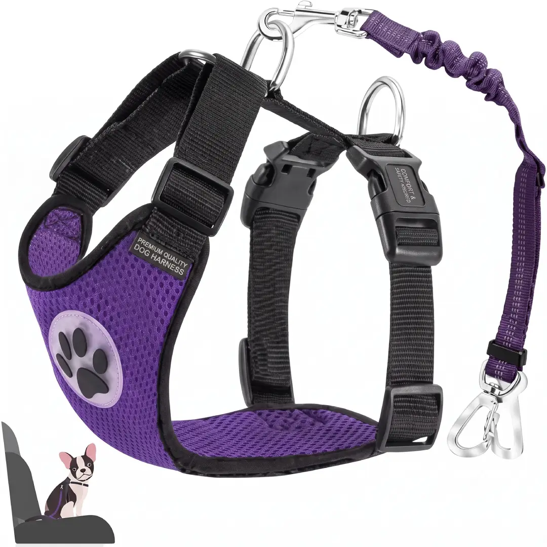 Adjustable Dog Car Safety Harness with Seat Belt Tether