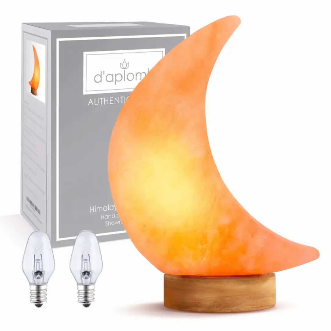 Moon Himalayan Salt Lamp with Dimmer Cord image 2
