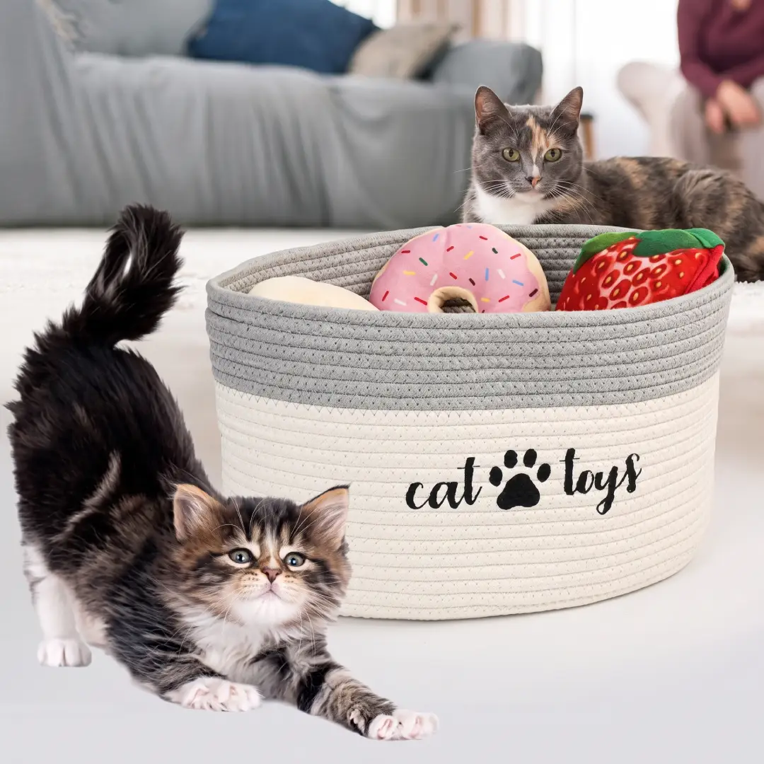 Small Woven Cat Toy Basket for Pet and Nursery Storage image 2