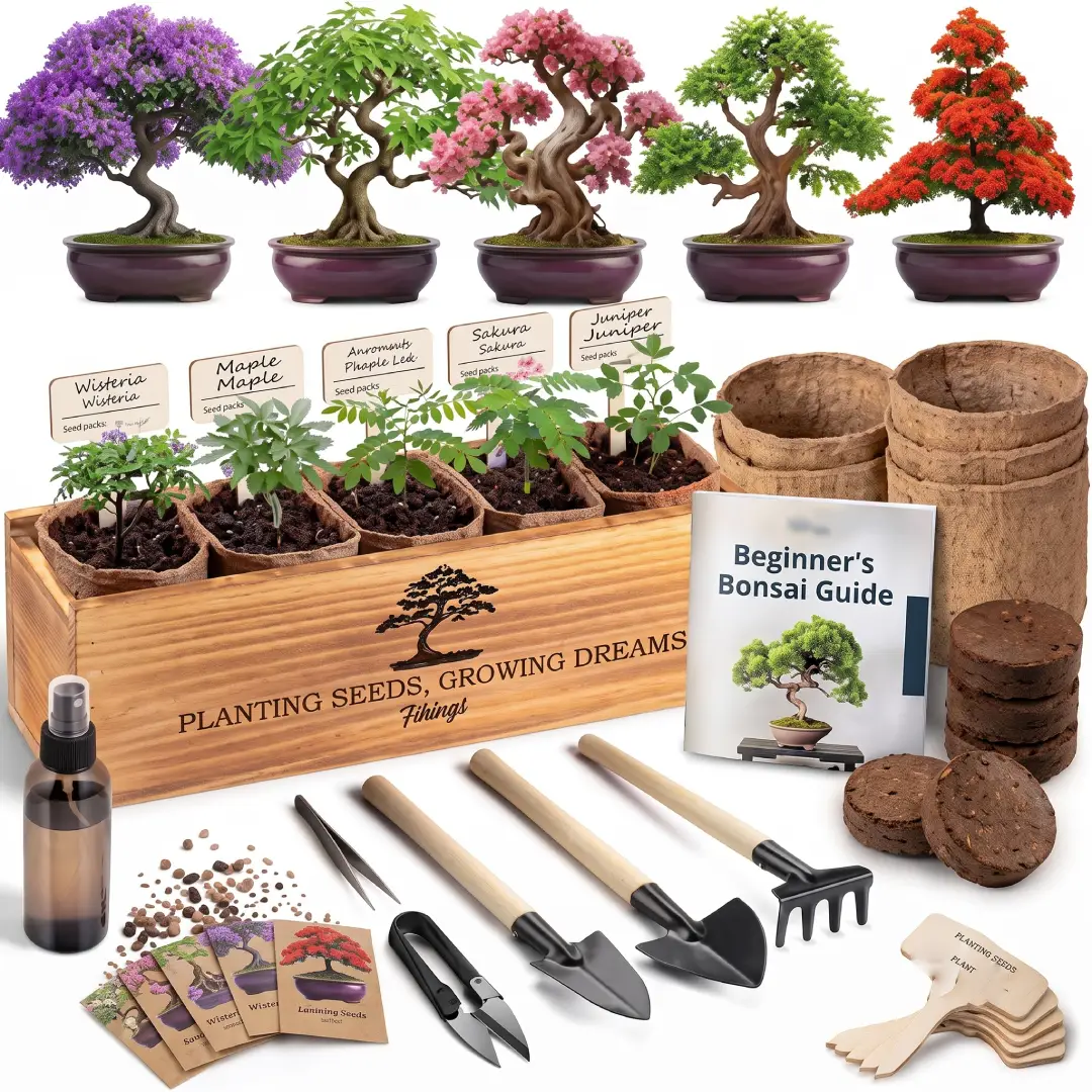 Bonsai Tree Kit for Beginners with 5 Japanese Bonsai Seeds image 1