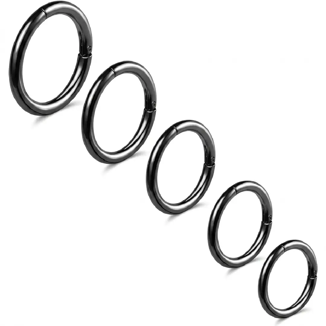 BLISI Grade 23 Titanium Nose Rings Hinged Hoop Set image 2