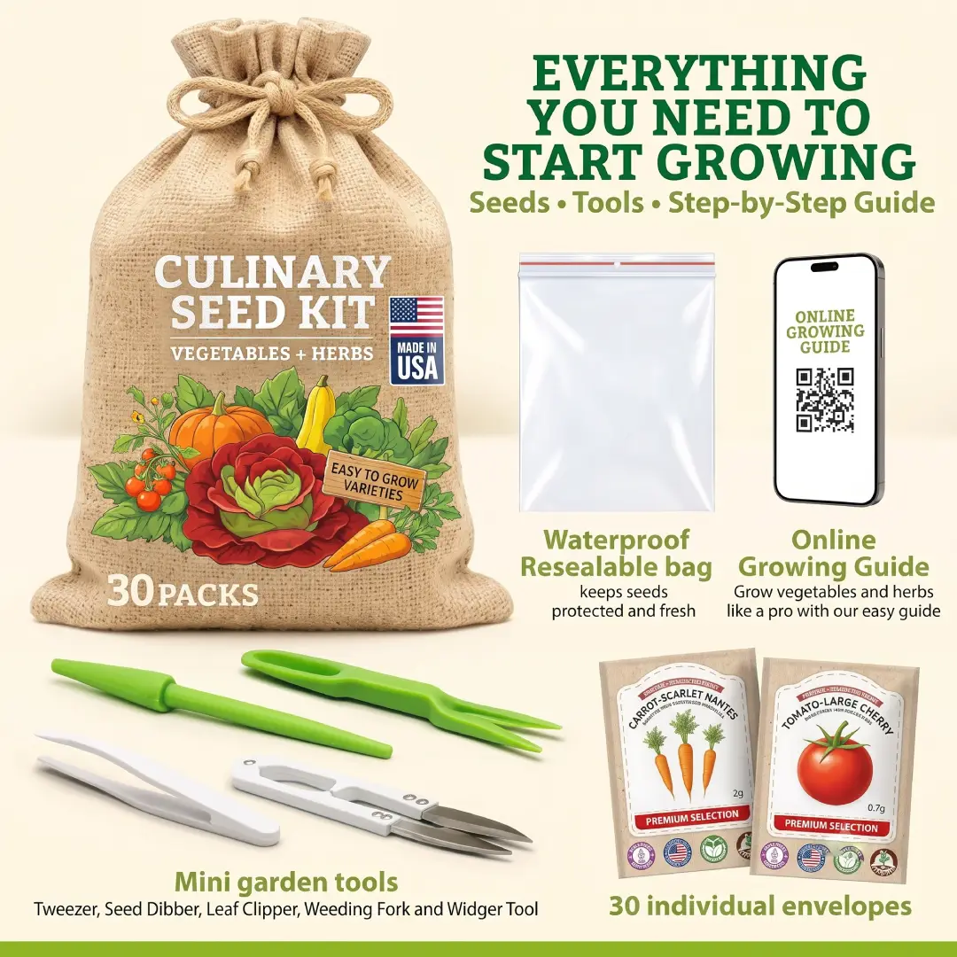 Culinary Vegetable and Herb Seeds Variety Pack image 2