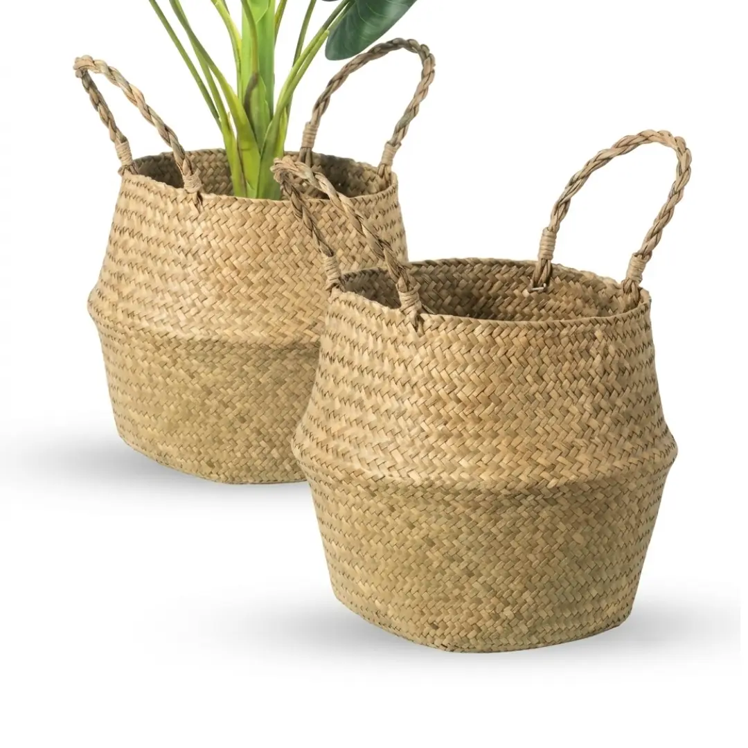 Seagrass Belly Basket Set of 2 Woven Plant Pot Holders