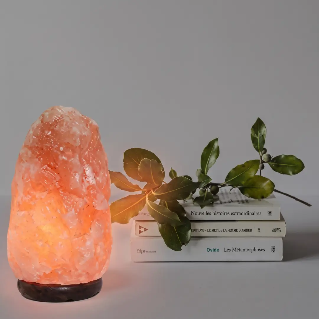 7 Inch Himalayan Salt Lamp with Dimmer Cord and Wood Base image 4