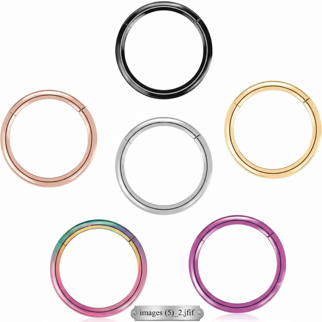 BLISI Grade 23 Titanium Nose Rings Hinged Hoop Set image 2