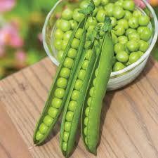 Burpee 'Easy Peasy' Pea Seeds - 21gm Non-GMO Seed Packet for Home Gardening - Direct Sow, Shelling Peas Seeds for Planting Vegetables (Pea, Easy Peasy)