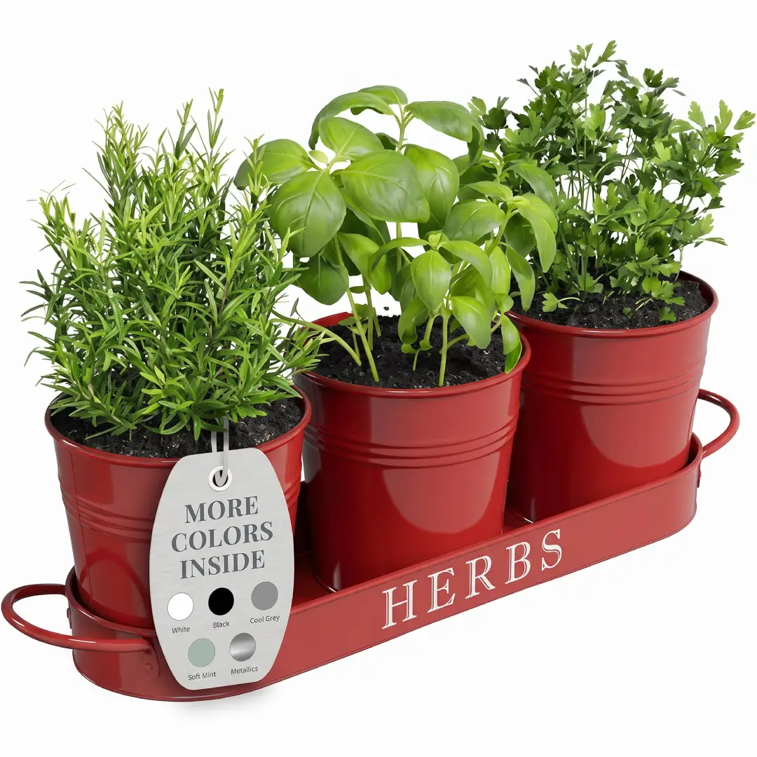 Barnyard Designs Indoor Herb Garden Planter Set with Tray image 2