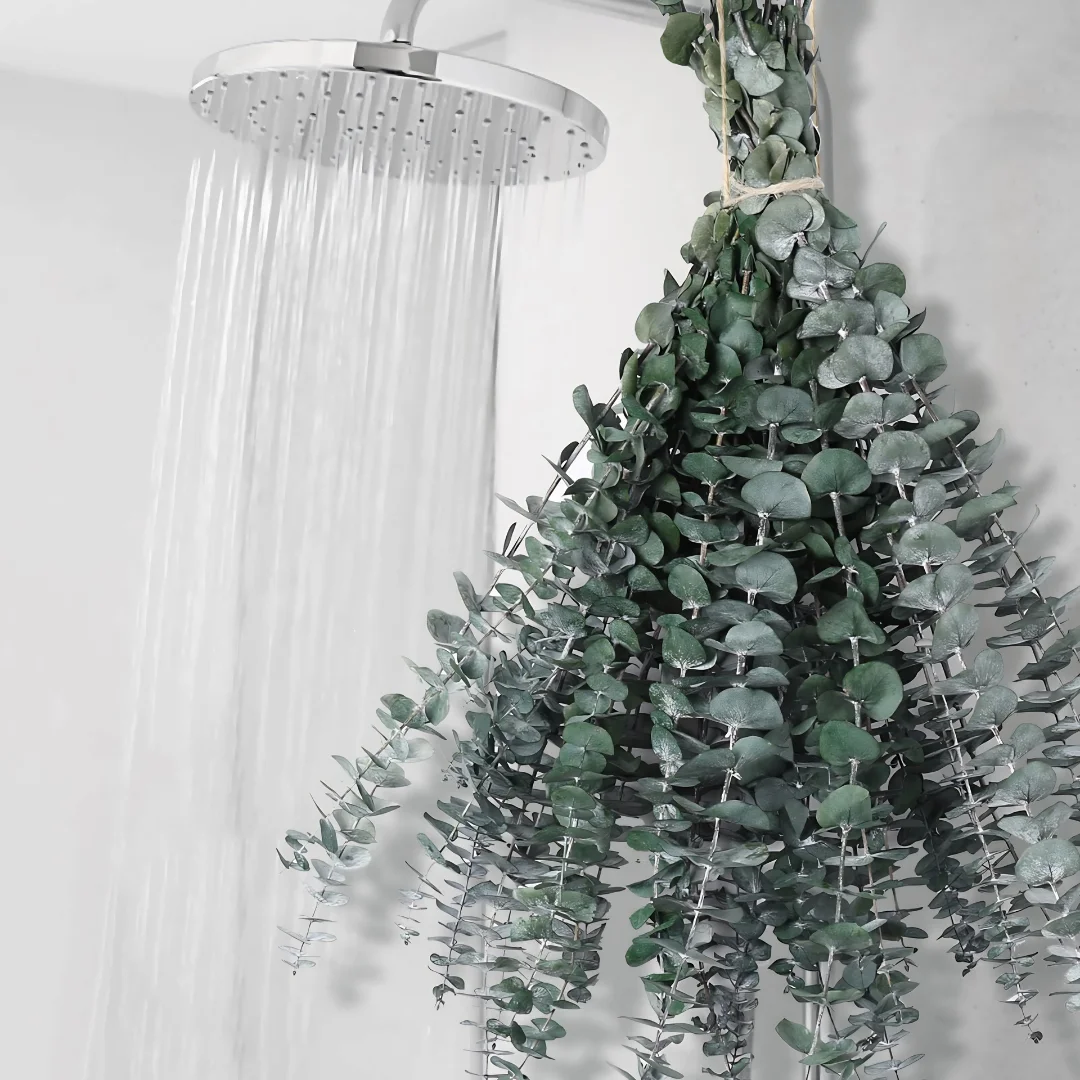 Dried Eucalyptus Stems for Shower Hanging and Home Decor image 1