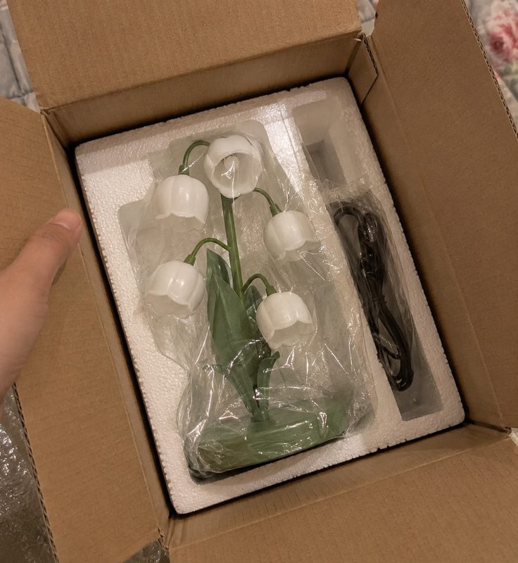 Photo from Hannah Brooks's review